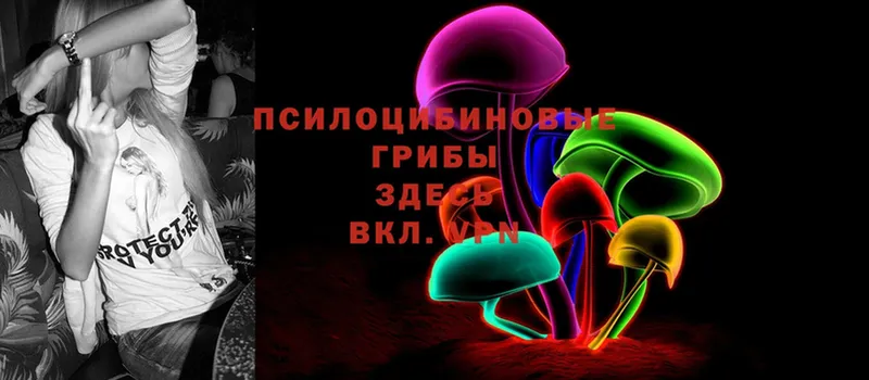 гидра как зайти  Заречный  Галлюциногенные грибы Cubensis 